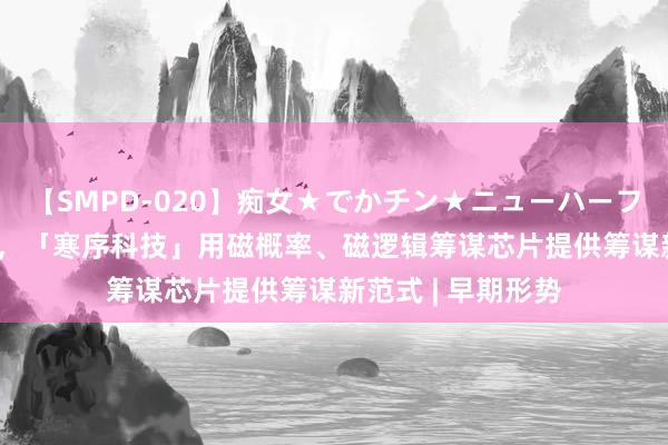 【SMPD-020】痴女★でかチン★ニューハーフ 切入AI算力市集，「寒序科技」用磁概率、磁逻辑筹谋芯片提供筹谋新范式 | 早期形势