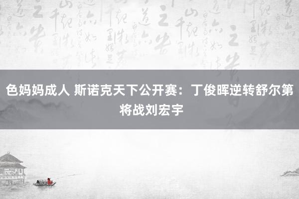 色妈妈成人 斯诺克天下公开赛:丁俊晖逆转舒尔第 将战刘宏宇