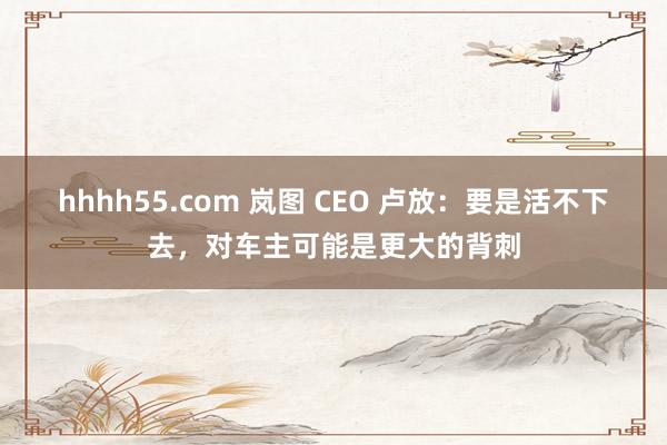 hhhh55.com 岚图 CEO 卢放：要是活不下去，对车主可能是更大的背刺
