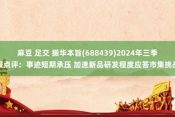 麻豆 足交 振华本旨(688439)2024年三季报点评：事迹短期承压 加速新品研发程度应答市集挑战