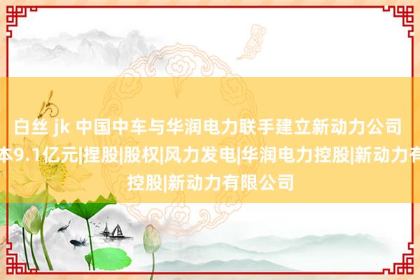 白丝 jk 中国中车与华润电力联手建立新动力公司 注册成本9.1亿元|捏股|股权|风力发电|华润电力控股|新动力有限公司