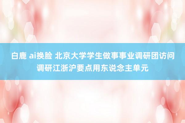 白鹿 ai换脸 北京大学学生做事事业调研团访问调研江浙沪要点用东说念主单元