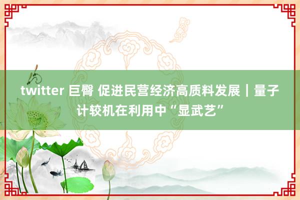twitter 巨臀 促进民营经济高质料发展｜量子计较机在利用中“显武艺”