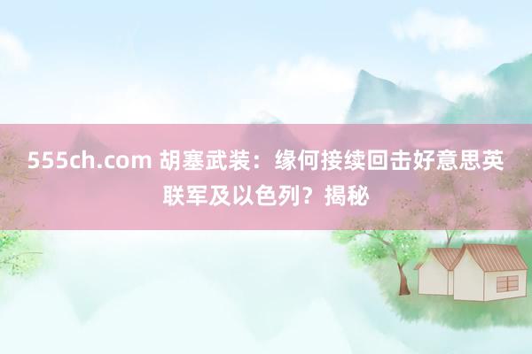555ch.com 胡塞武装：缘何接续回击好意思英联军及以色列？揭秘