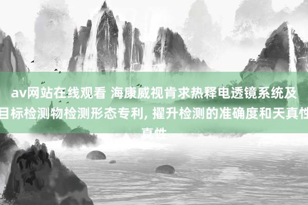 av网站在线观看 海康威视肯求热释电透镜系统及目标检测物检测形态专利， 擢升检测的准确度和天真性