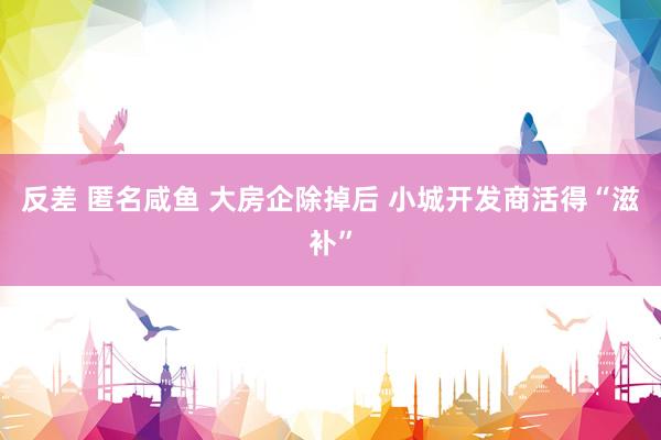 反差 匿名咸鱼 大房企除掉后 小城开发商活得“滋补”