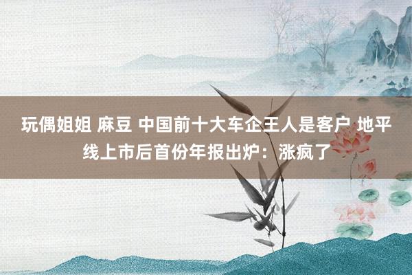 玩偶姐姐 麻豆 中国前十大车企王人是客户 地平线上市后首份年报出炉：涨疯了