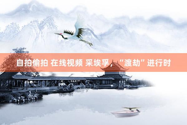自拍偷拍 在线视频 采埃孚，“渡劫”进行时